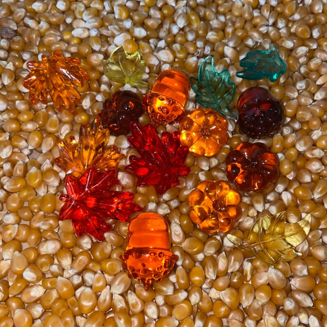 Autumn Sensory Bin