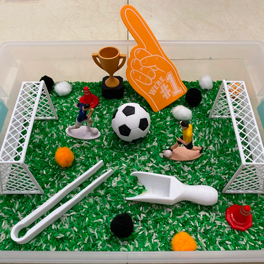 Montessori Soccer Sensory Bin