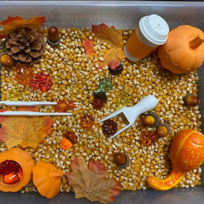 Montessori Autumn Sensory Bin