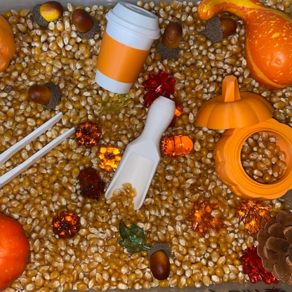 Montessori Autumn Sensory Bin