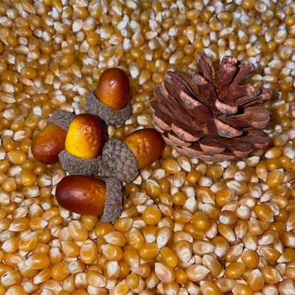 Montessori Autumn Sensory Bin