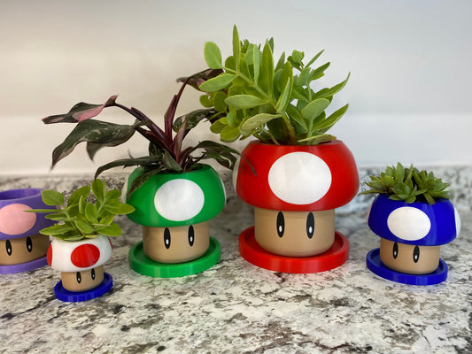May include: Four mushroom-shaped planters in different colors, green, red, blue, and purple, with white spots. Each planter has a small face with eyes and a mouth. The planters are filled with small plants.