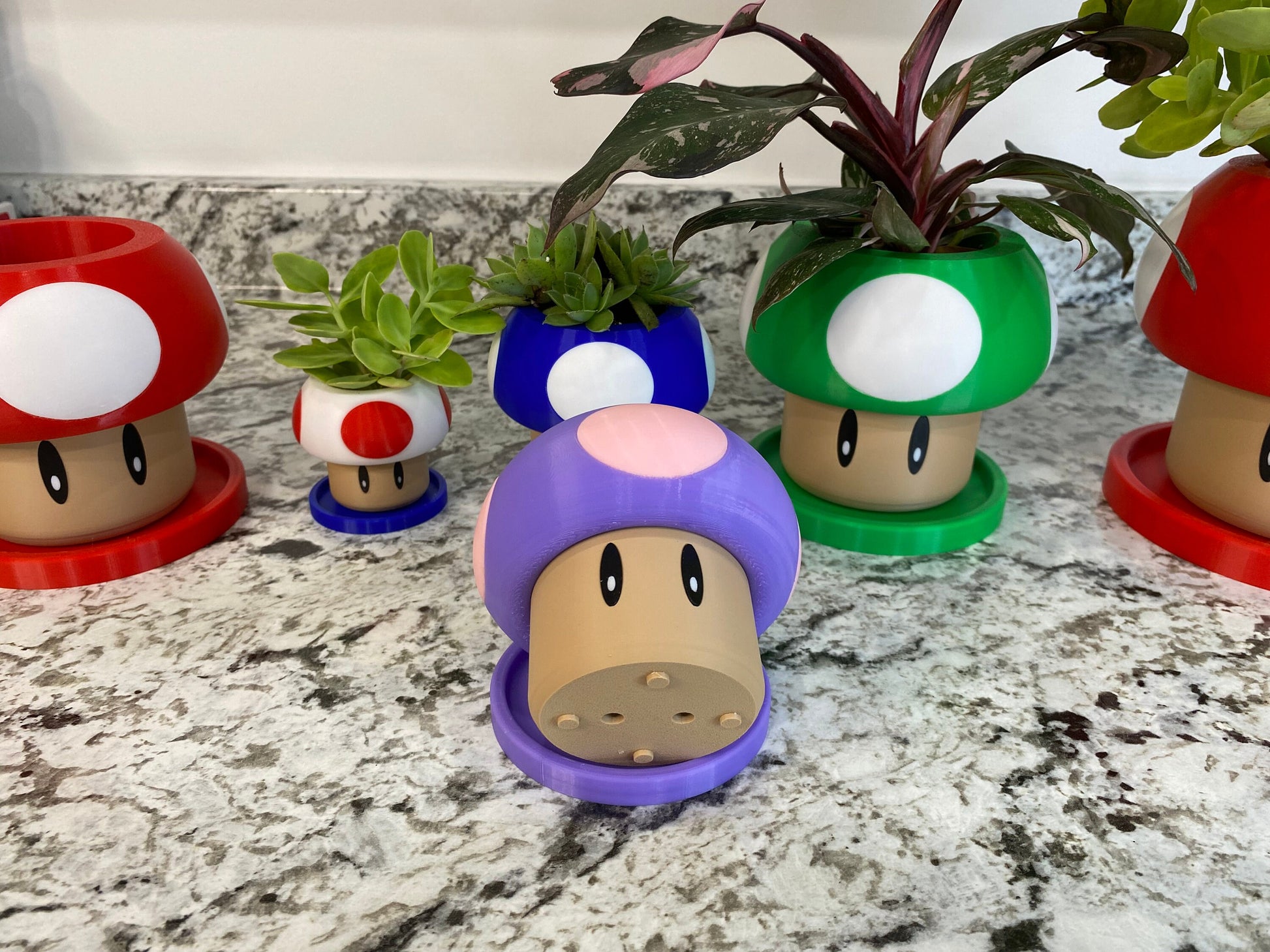 May include: Four mushroom-shaped planters in different colors, including red, blue, green, and purple. Each planter has a white spot on top and a brown base. The planters are filled with small plants.