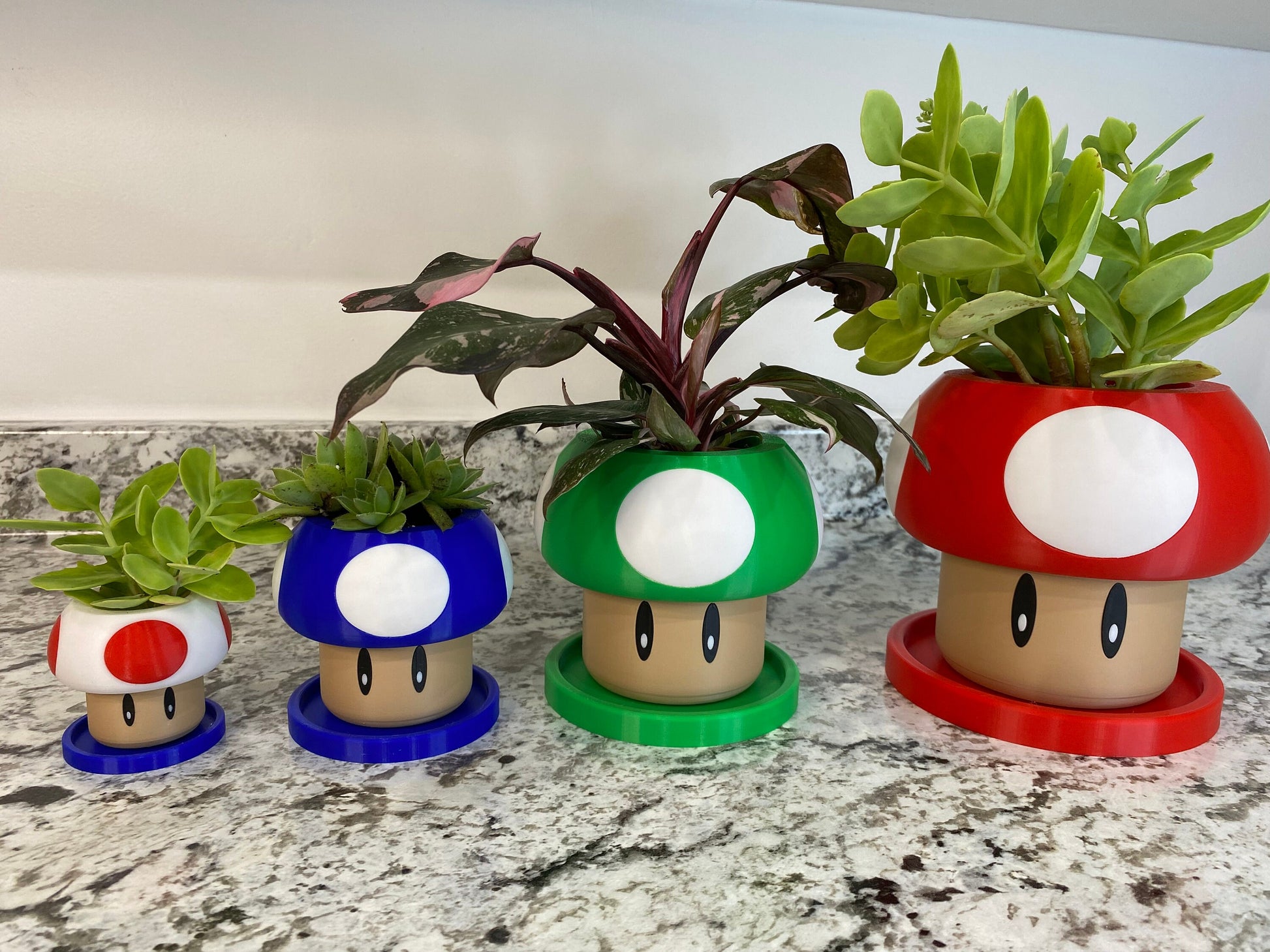May include: Four different sized mushroom-shaped planters in red, green, blue, and brown with white spots. Each planter has a small face with eyes and a mouth. The planters are filled with various green plants.