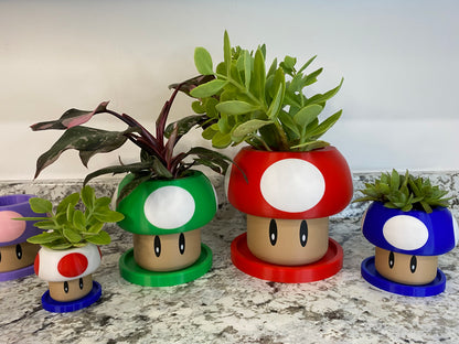 May include: Four mushroom-shaped planters in green, red, blue, and pink, with a variety of succulents growing inside. The planters have white spots and cartoon eyes.