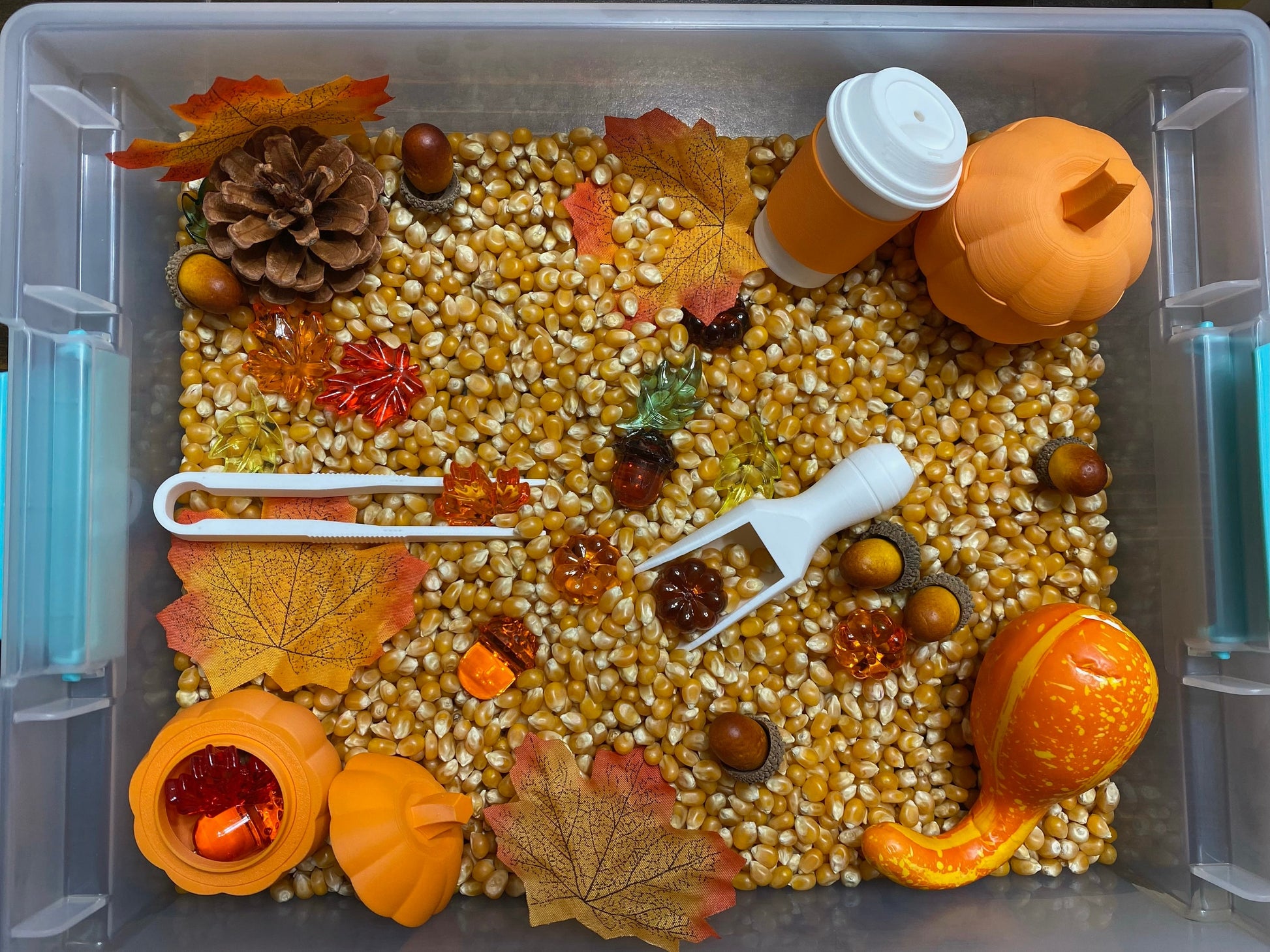 Autumn Harvest Sensory Bin - Montessori Fall Play Kit for Kids | Pretend Play | Flisat Filler | Busy Bin