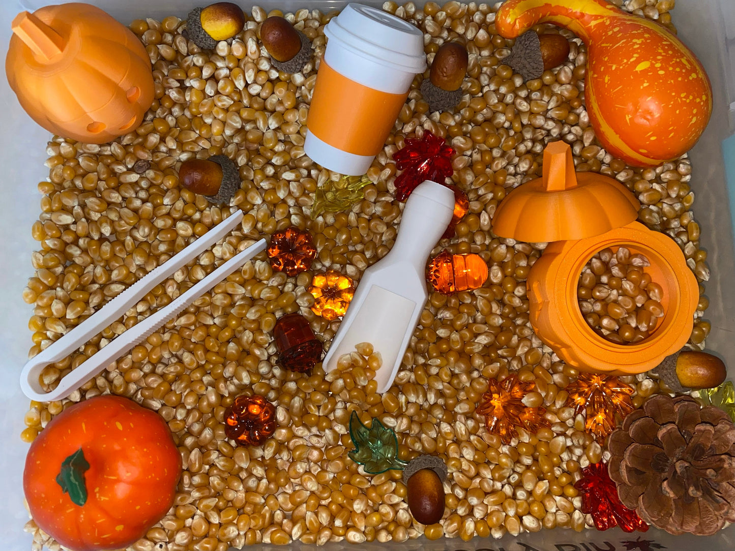 Autumn Harvest Sensory Bin - Montessori Fall Play Kit for Kids | Pretend Play | Flisat Filler | Busy Bin