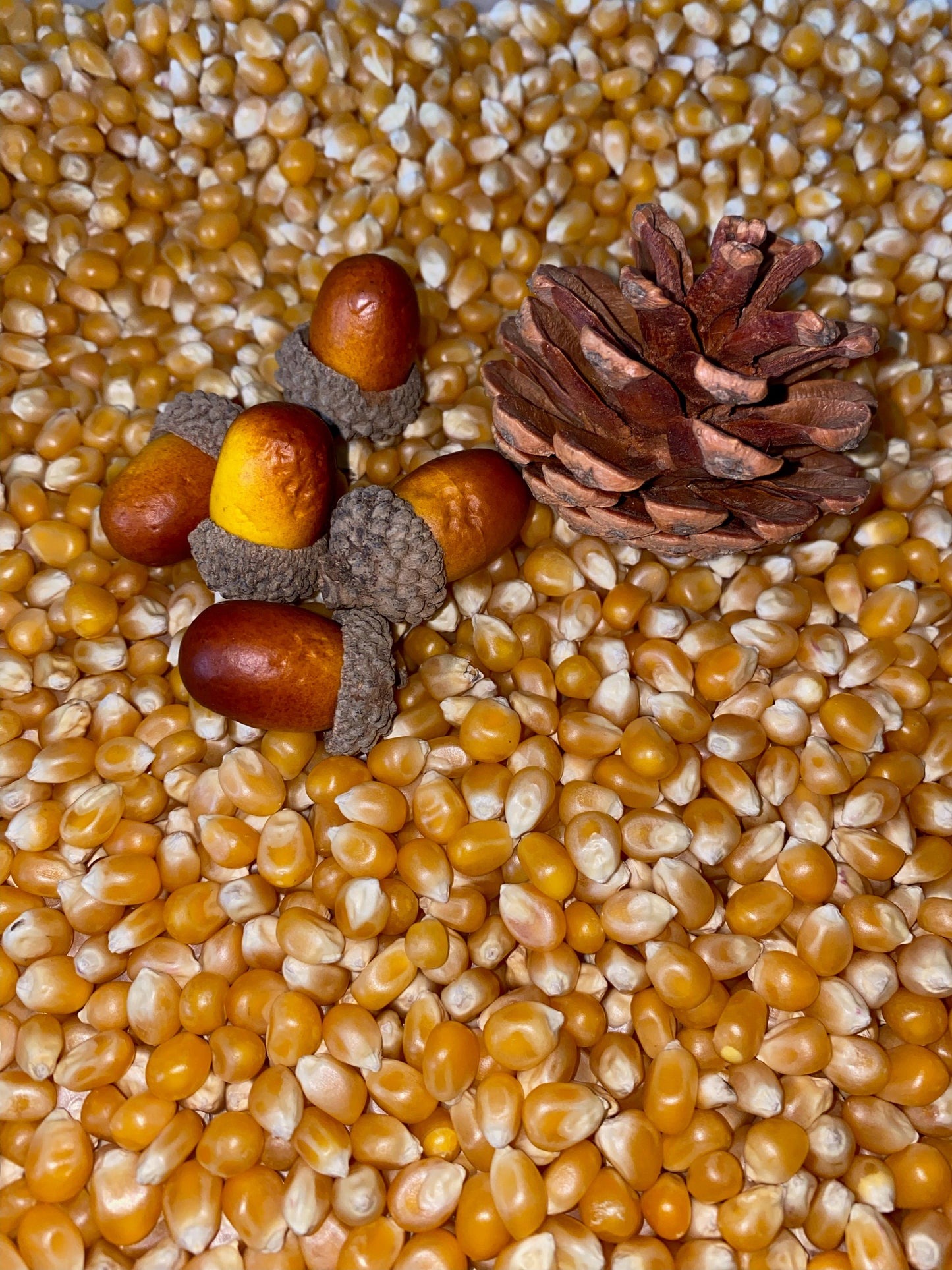 Autumn Harvest Sensory Bin - Montessori Fall Play Kit for Kids | Pretend Play | Flisat Filler | Busy Bin