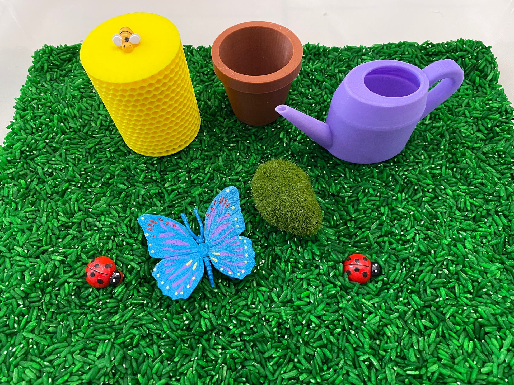 May include: A green sensory bin filled with green rice, a purple watering can, a brown flower pot, a yellow honeycomb container with a bee on top, a blue butterfly, and two red ladybugs.