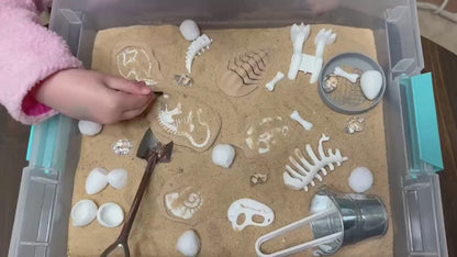 Dinosaur Fossil Dig Sensory Bin – Montessori Excavation Activity Kit for Kids | STEM Learning & Pretend Play